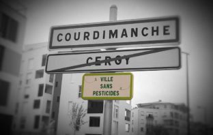 Une semaine chez Grand-mère