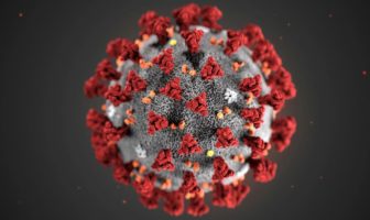 L’Épidémie: le coronavirus ou covid-19 devient concret