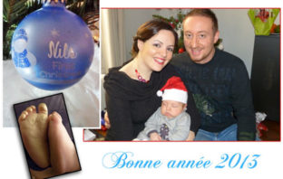Bonne année 2013