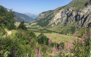 Enfants Reporters : Jour 4