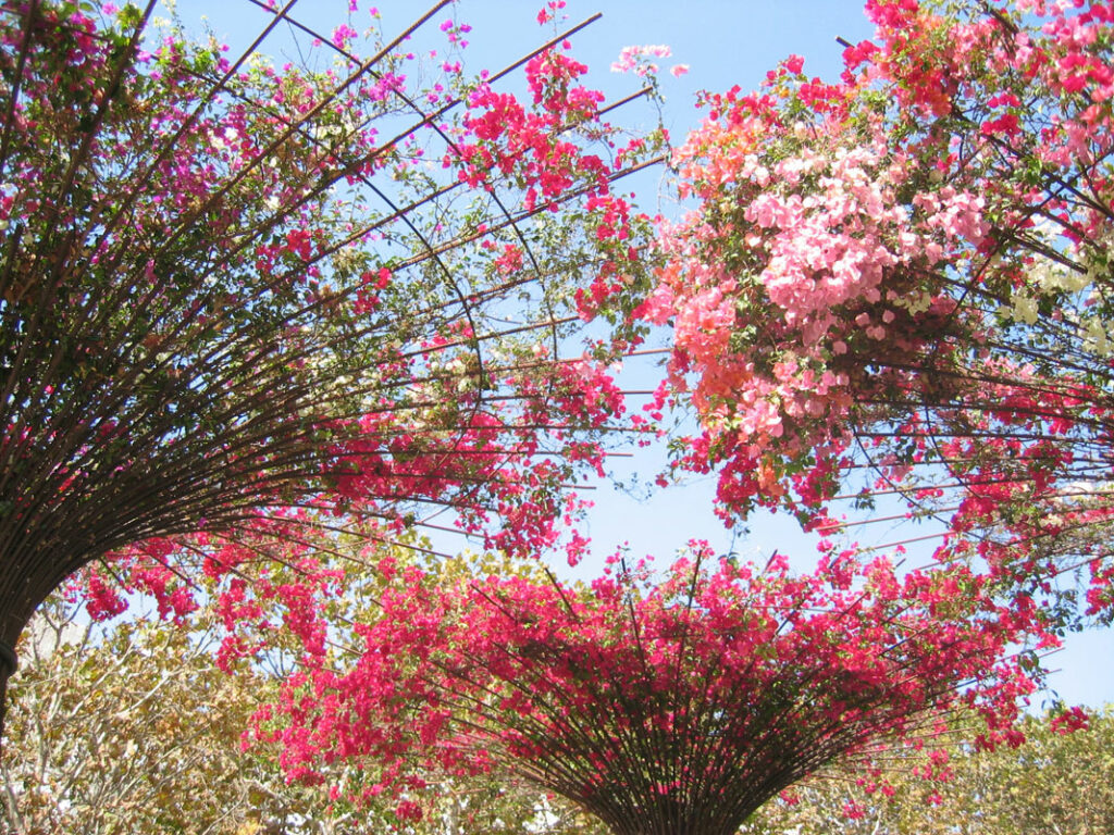 Septembre 2004 : Visite de Los Angeles, CA